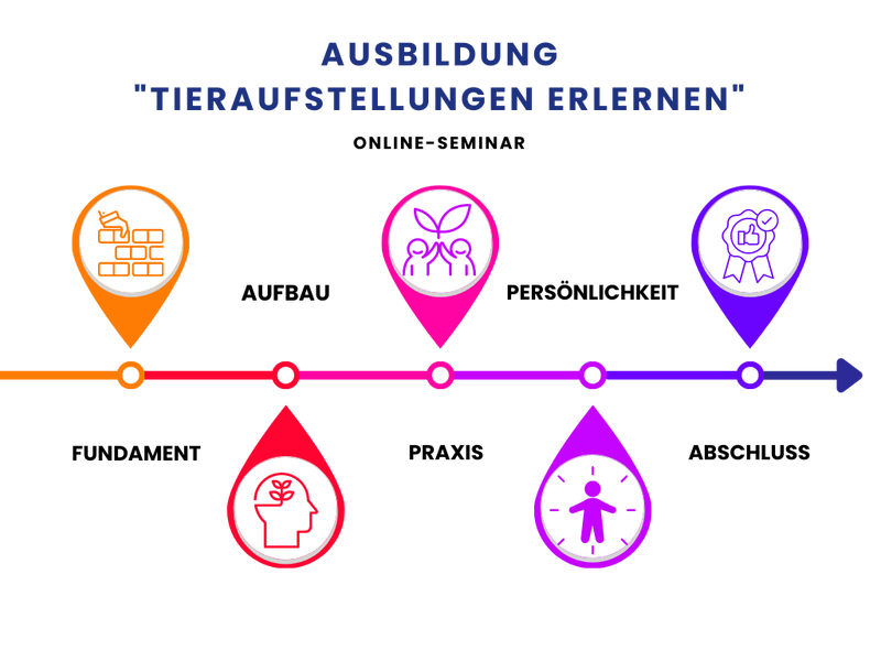 Timeline Ausbildung